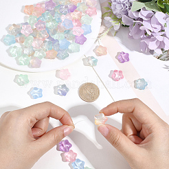 80Pcs Transparent Glass Beads&nbsp;GLAA-PA0001-78