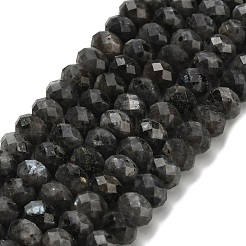 Natural Larvikite Beads Strands&nbsp;G-Z111-A42