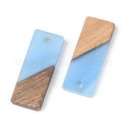 Resin & Walnut Wood Pendants&nbsp;RESI-S389-059A