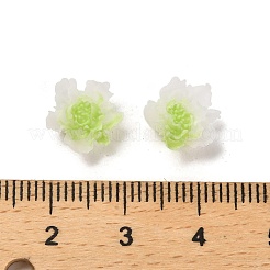 Luminous Resin Decoden Cabochons&nbsp;LS-RESI-K036-06F-02