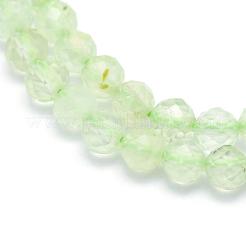 Natural Prehnite Beads Strands&nbsp;G-E411-25-4mm