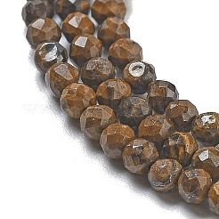 Natural Tiger Iron Beads Strands&nbsp;LS-G-B120-A01-01
