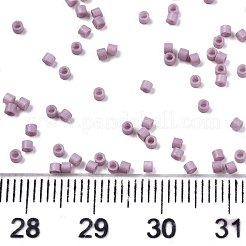 FGB 11/0 Grade A Glass Seed Beads&nbsp;SEED-S030-1008