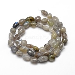 Natural Labradorite Nuggets Beads Strands&nbsp;G-J335-40