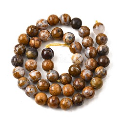 Natural African Opal Beads Strands&nbsp;G-S390-06-8mm