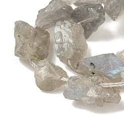 Raw Rough Natural Labradorite Beads Strands&nbsp;G-M453-D14