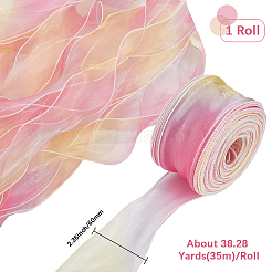 1 Bag Gradient Color Organza Ribbon&nbsp;OHAR-CY0001-01A