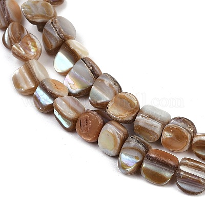 Natural Trochus Shell Beads Strands&nbsp;BSHE-Q050-01B-1