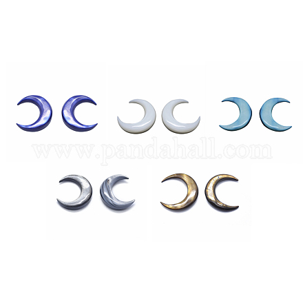 Shell Cabochons&nbsp;SSHEL-P015-79-35mm-M-1