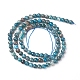 Natural Apatite Beads Strands&nbsp;X-G-L554-01-4mm-3