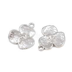 304 Stainless Steel Charms&nbsp;SA-CBA3ECF-05P