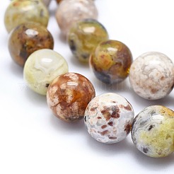 Natural Yellow Opal Beads Strands&nbsp;G-I213-18-10mm