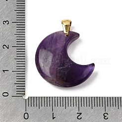 Natural Amethyst Pendants&nbsp;G-A297-02G-10