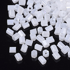6/0 Two Cut Glass Seed Beads&nbsp;SEED-S033-07B-03