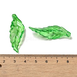 Transparent Acrylic Pendant&nbsp;OACR-E039-69G