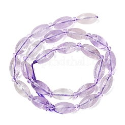 Natural Amethyst Beads Strands&nbsp;G-G453-C01-8x13mm