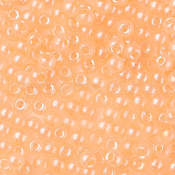 6/0 Imitation Jade Glass Seed Beads&nbsp;SEED-N004-006-24