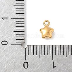 304 Stainless Steel Charms&nbsp;STAS-Q351-01G-A