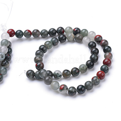 Natural African Bloodstone Beads Strands&nbsp;X-G-R345-8mm-50