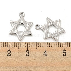 Non-Tarnish 304 Stainless Steel Pendants&nbsp;STAS-L278-86P