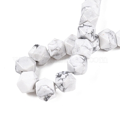 Natural Howlite Beads Strands&nbsp;G-T138-35