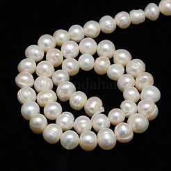 Natural Cultured Freshwater Pearl Beads Strands&nbsp;X1-PEAR-L001-C-05
