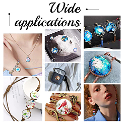 1 Bag Glass Cabochons&nbsp;GGLA-PH0001-41B