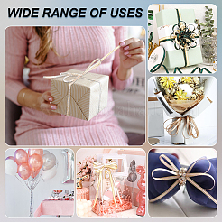 Polyester Ribbons&nbsp;SRIB-WH0011-219A-01