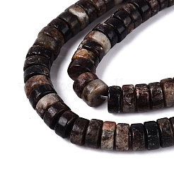 Natural Biotite Beads Strands&nbsp;G-N367-03A-13