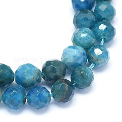 Natural Apatite Beads Strands&nbsp;G-O180-12-6mm