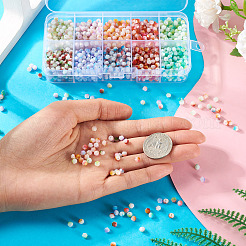 100G 10 Colors Baking Paint Glass Seed Beads&nbsp;SEED-TA0001-48