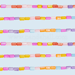 4 Strands Natural Freshwater Shell Dyed Beads Strands&nbsp;SHEL-SC0001-75