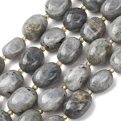 Natural Labradorite Beads Strands&nbsp;G-G453-D10-01