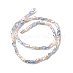 Electroplate Glass Beads&nbsp;EGLA-D300-01A-05