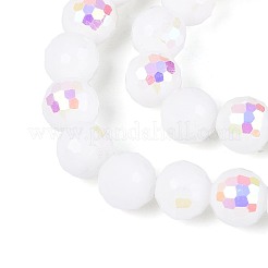 Electroplate Opaque Glass Beads Strands&nbsp;EGLA-N024-01A-A01