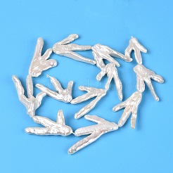 Natural Baroque Keshi Pearl Beads Strands&nbsp;PEAR-S020-Y03