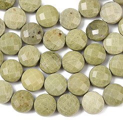 Natural Alashan Agate Beads Strands&nbsp;G-F812-B02-02