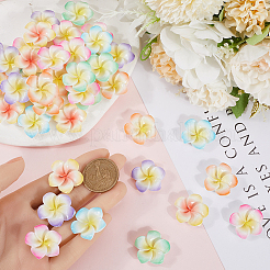 60Pcs 6 Colors Opaque Resin Decoden Cabochons&nbsp;RESI-SC0005-83D
