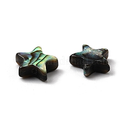 Natural Abalone Shell/Paua Shell Beads&nbsp;SHEL-B003-12