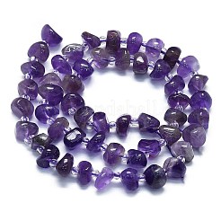 Natural Amethyst Beads Strands&nbsp;G-K245-H18-05