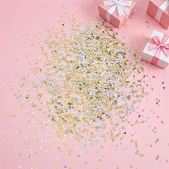 100g 2 Colors Ornament Accessories&nbsp;KY-HY0001-28