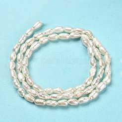 Natural Cultured Freshwater Pearl Beads Strands&nbsp;PEAR-E016-123