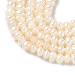Natural Cultured Freshwater Pearl Beads Strands&nbsp;PEAR-C004-02B