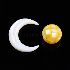 Natural Freshwater Shell Beads&nbsp;SSHEL-N032-51-A02
