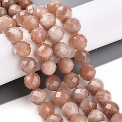 Natural Sunstone Beads Strands&nbsp;G-S345-10mm-23
