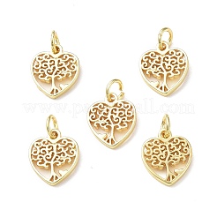 Rack Plating Brass Charms&nbsp;KK-F849-03G