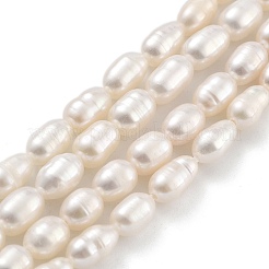 Natural Cultured Freshwater Pearl Beads Strands&nbsp;PEAR-P062-05C