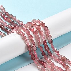 Natural Strawberry Quartz Beads Strands&nbsp;G-P497-01A-07