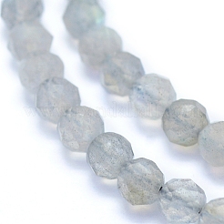 Natural Labradorite Beads Strands&nbsp;G-I279-E19