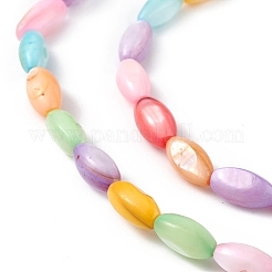 Natural Freshwater Shell Dyed Beads Strands&nbsp;SHEL-M018-13-12
